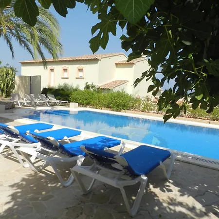 Fig Tree 4 Personas * Calp
