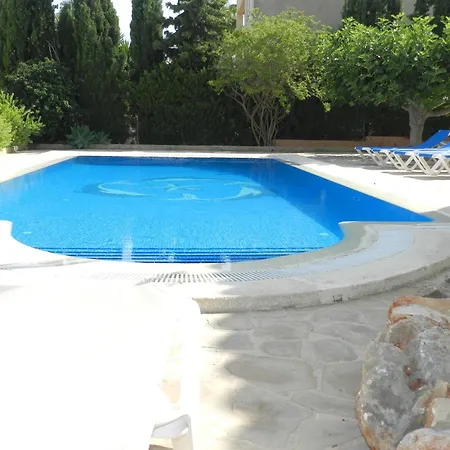 Fig Tree 4 Personas * Calpe